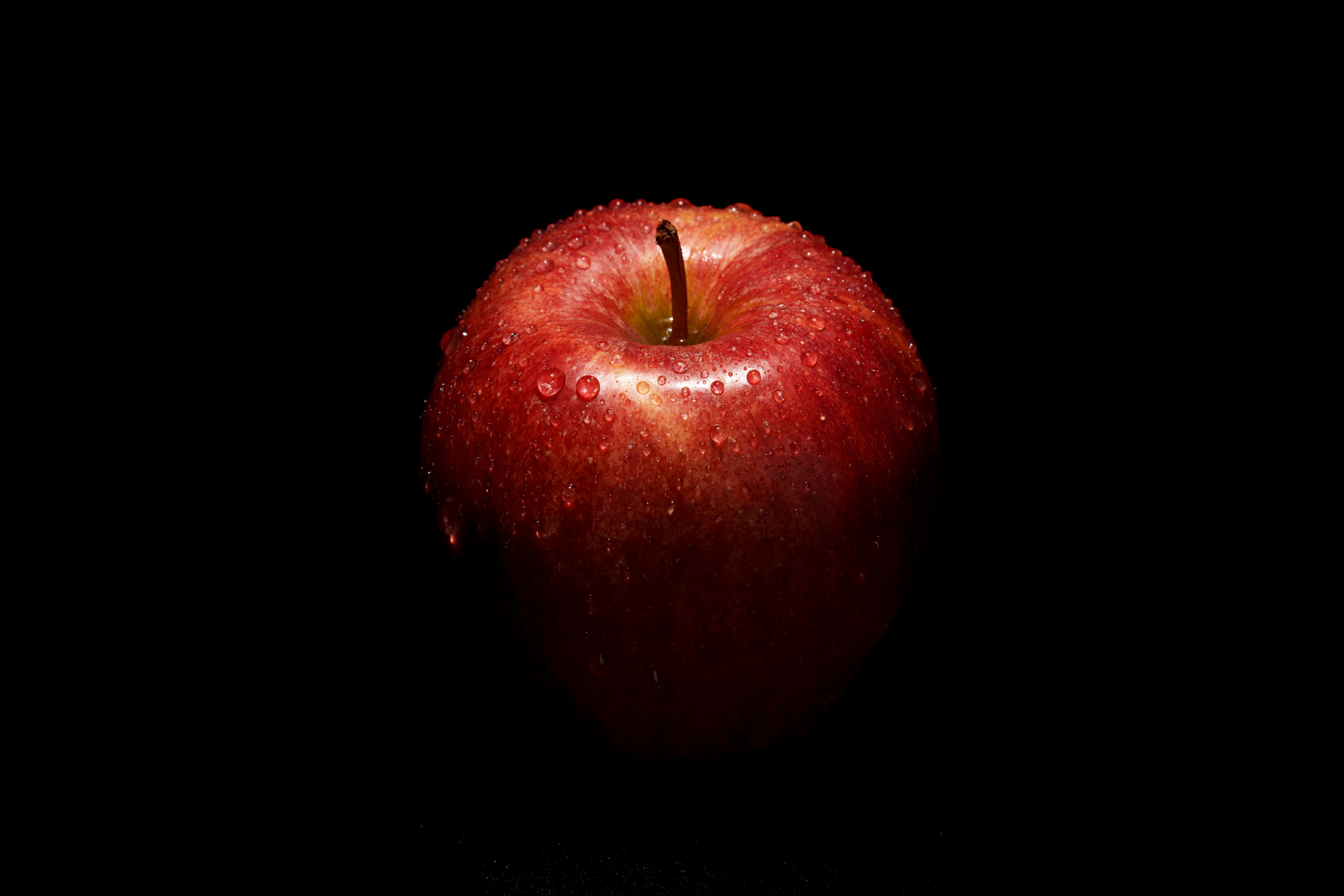 The Danger of the Single Story, Part 2: Rebellion